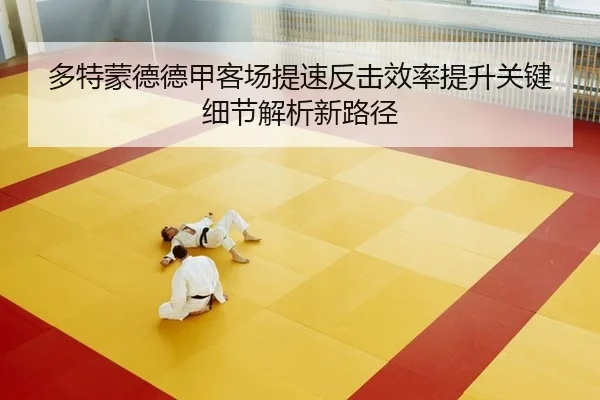 多特蒙德德甲客场提速反击效率提升关键细节解析新路径
